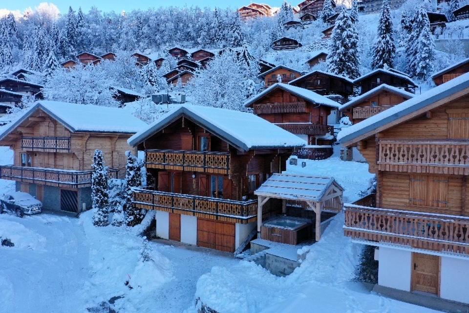 Chalet Individuel 8 Pers A Chatel Porte Du Soleil Avec Jacuzzi Exterieur Exterior photo